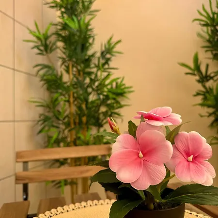Deca Apartament Bari